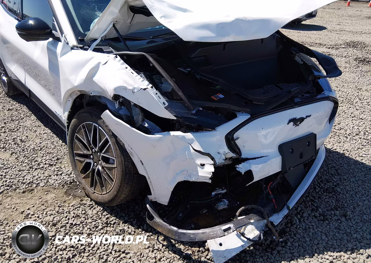 2025 Ford Mustang Mach-E Premium VIN:3FMTK3SU1SMA11223 - 6