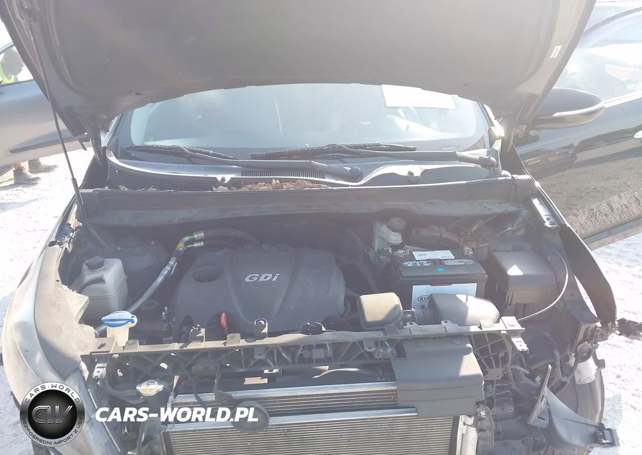 2015 Kia Sportage Ex VIN:KNDPC3AC1F7723713 - 10