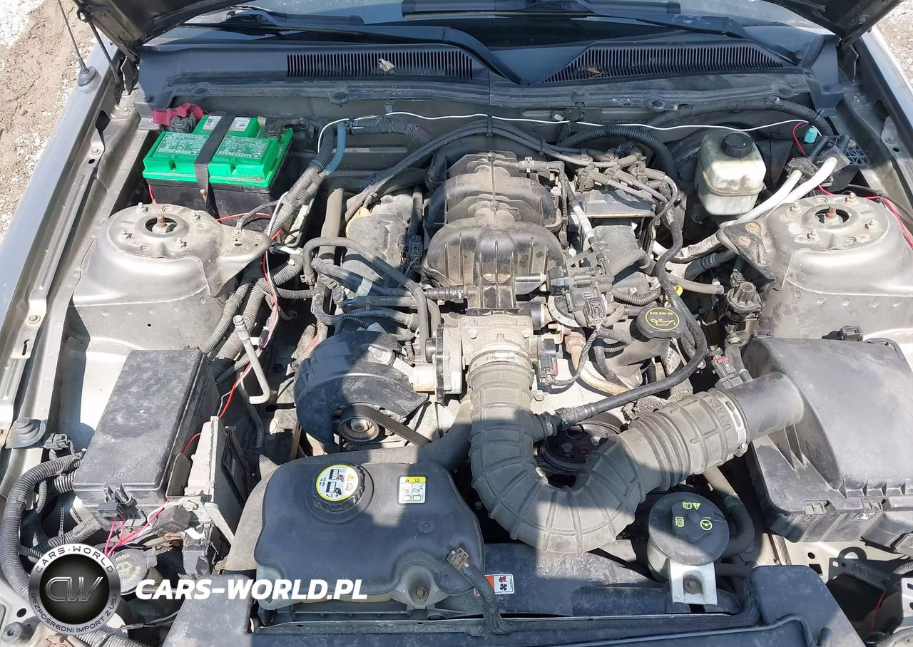 2005 Ford Mustang V6 Deluxe-V6 Premium VIN:1ZVFT80N655114698 - 10
