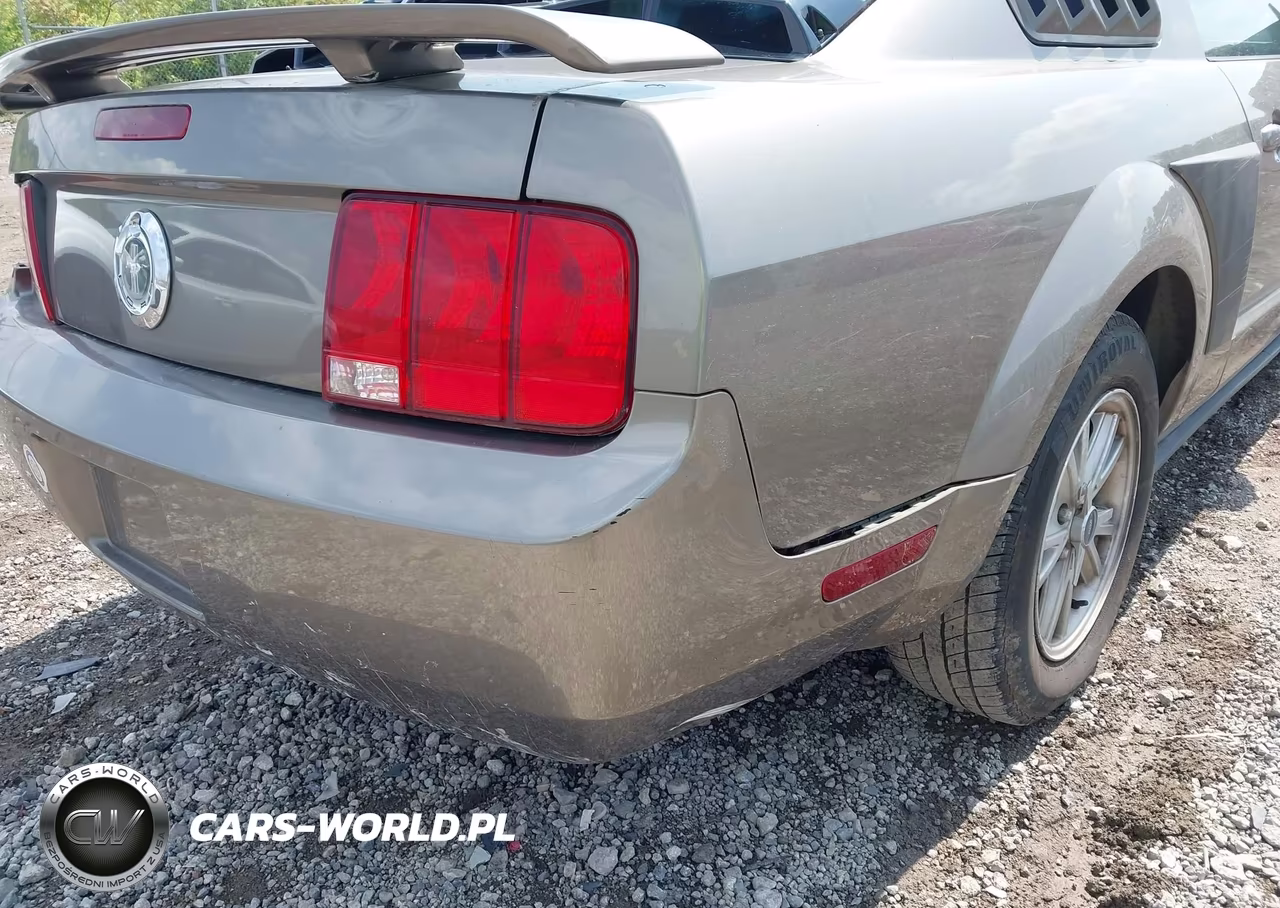 2005 Ford Mustang V6 Deluxe-V6 Premium VIN:1ZVFT80N655114698 - 12