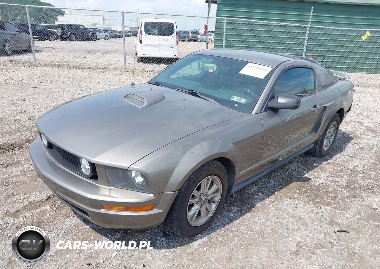 2005 Ford Mustang V6 Deluxe-V6 Premium VIN:1ZVFT80N655114698 - 2