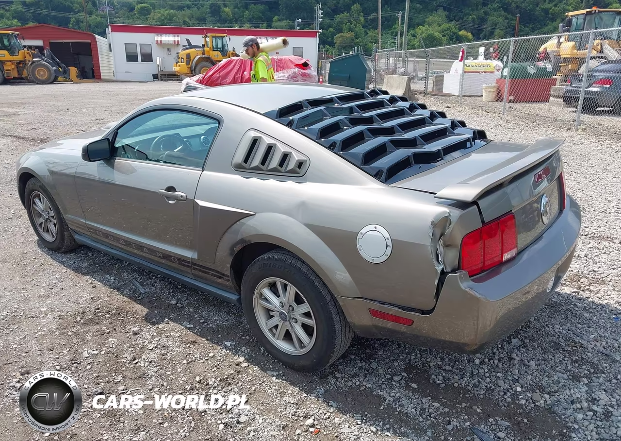 2005 Ford Mustang V6 Deluxe-V6 Premium VIN:1ZVFT80N655114698 - 3