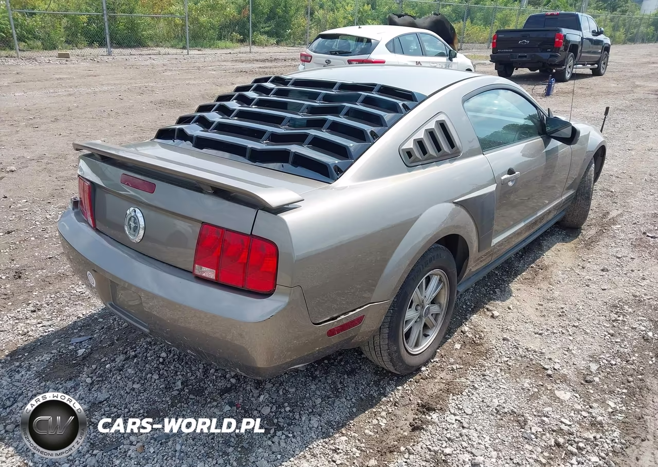 2005 Ford Mustang V6 Deluxe-V6 Premium VIN:1ZVFT80N655114698 - 4