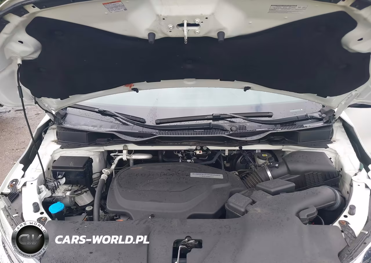 2019 Honda Odyssey Elite VIN:5FNRL6H97KB004832 - 10