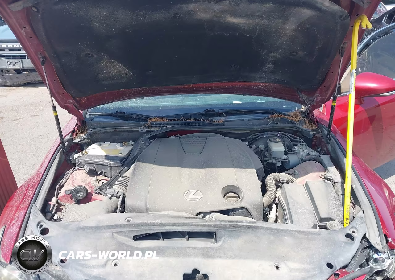 2014 Lexus Is 250 VIN:JTHBF1D22E5016668 - 10