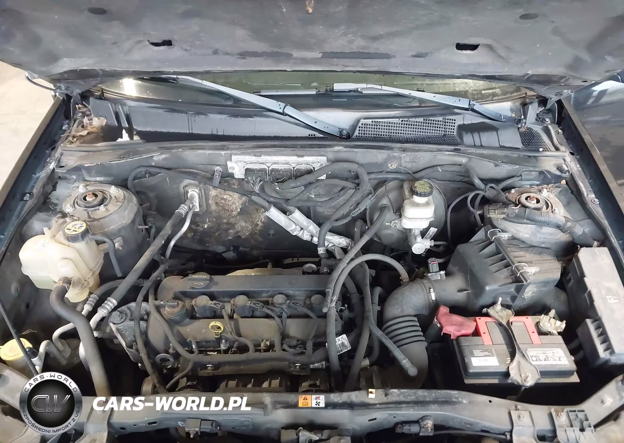 2011 Ford Escape Xlt VIN:1FMCU0D74BKA26077 - 10