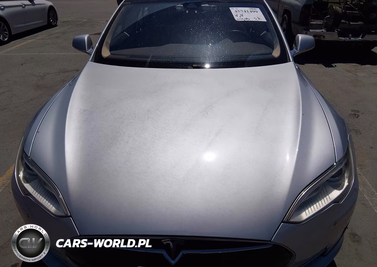 2015 Tesla Model S 60-70-85 VIN:5YJSA1H16FF083999 - 10