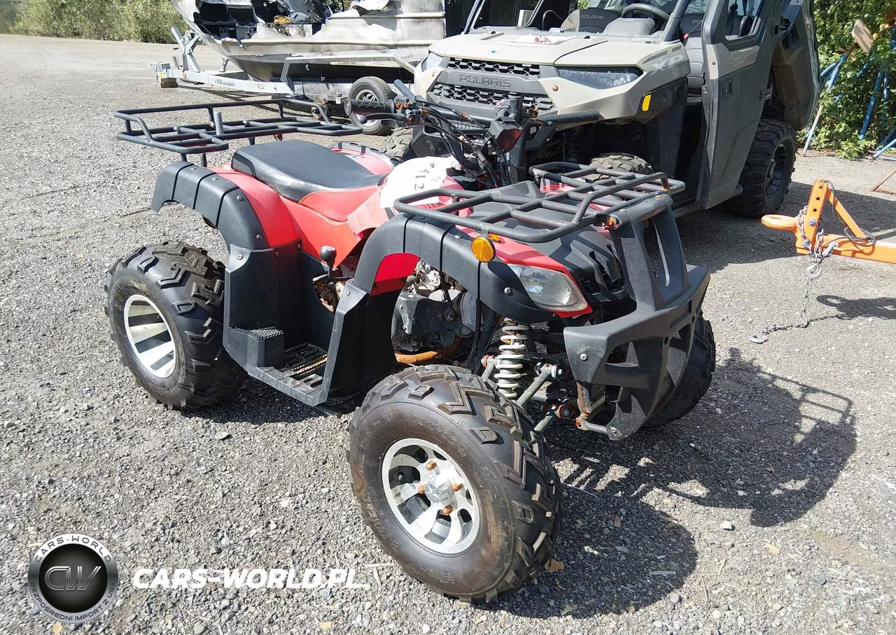 2021 Tao Tao Quad – zdjęcie 1 z 11