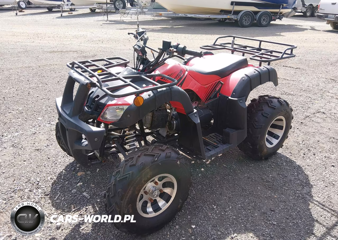 2021 Tao Tao Quad VIN:L9NACMR30M1600082 - 2