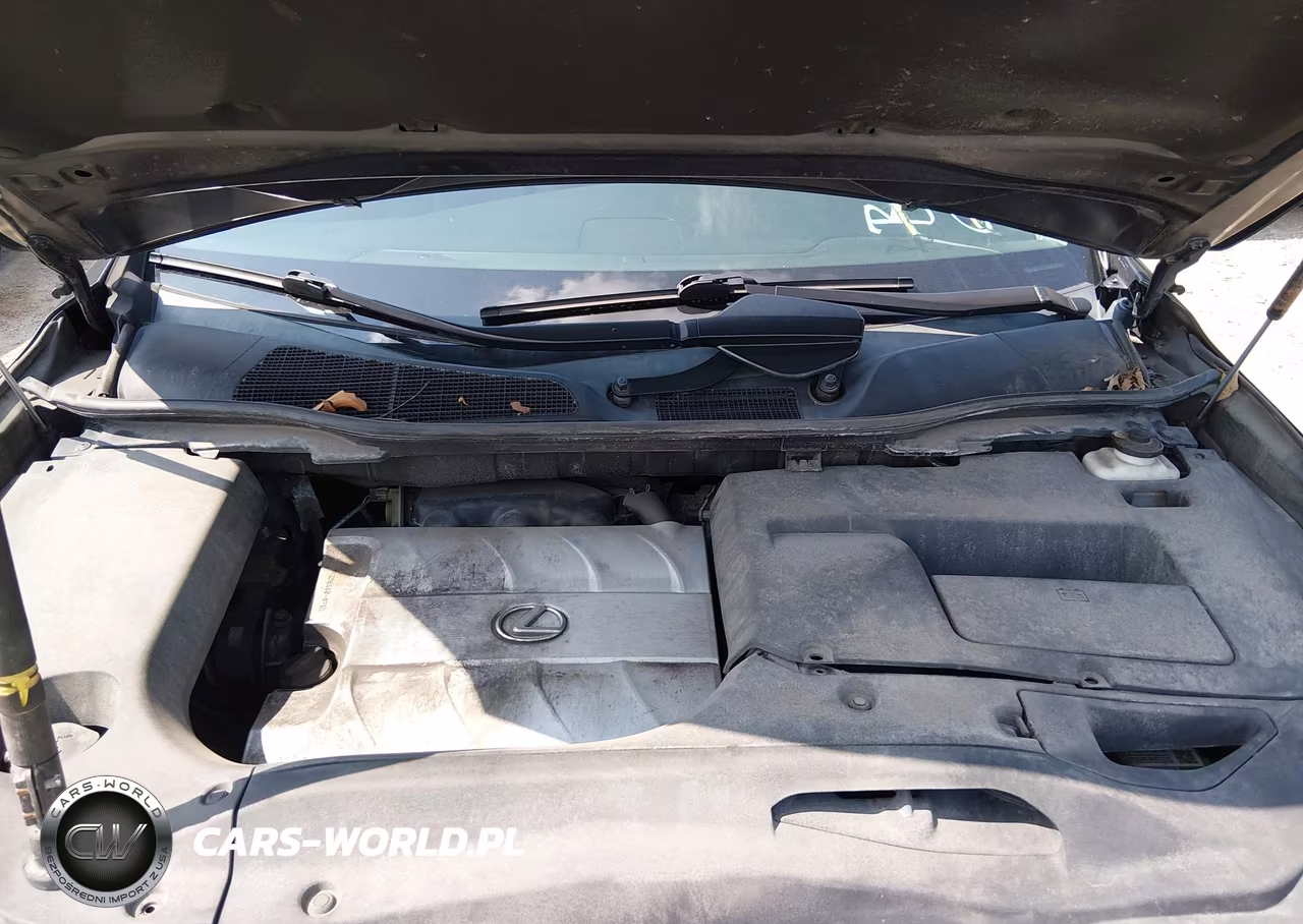 2010 Lexus Rx 350 VIN:2T2BK1BA9AC001195 - 10