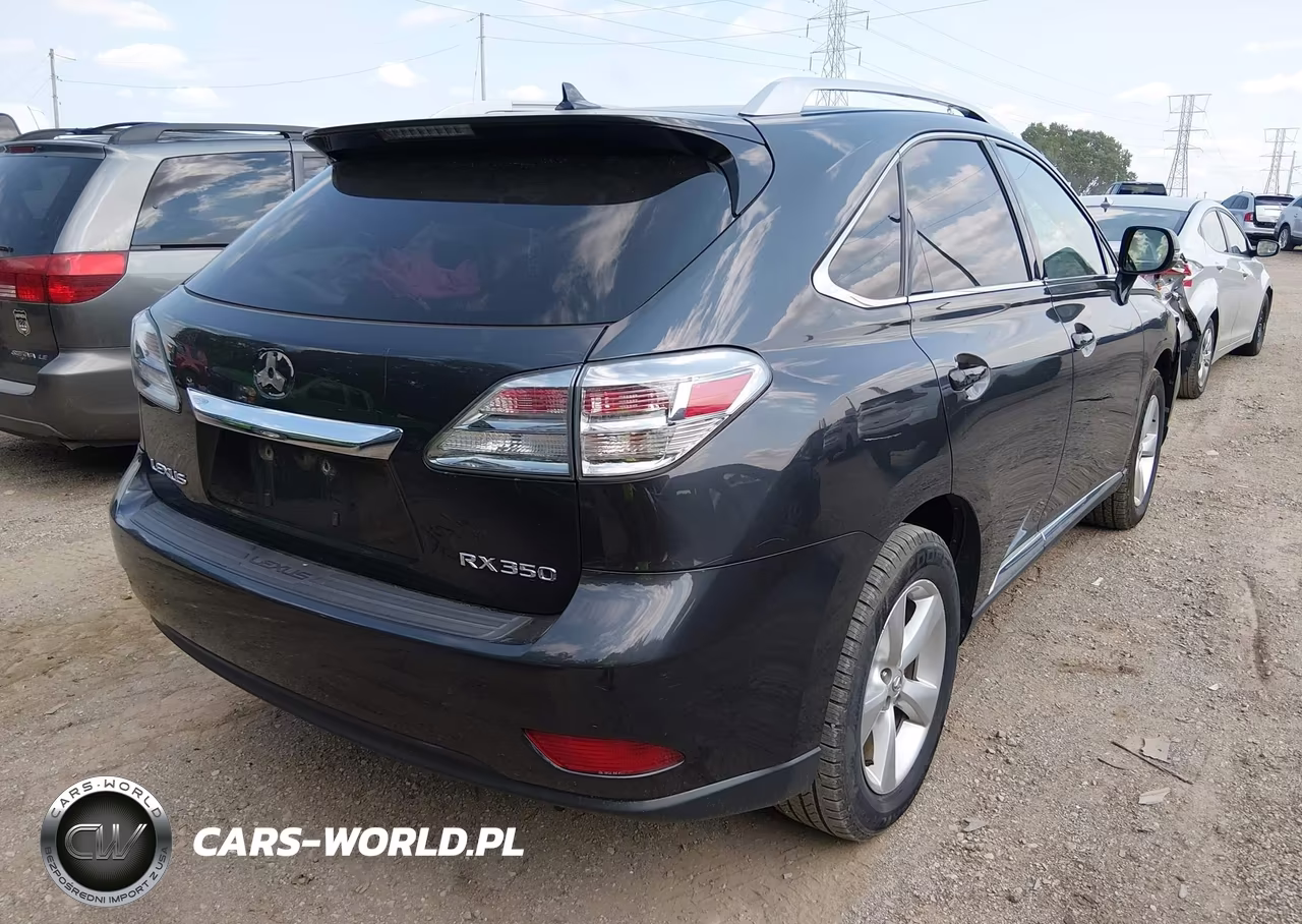 2010 Lexus Rx 350 VIN:2T2BK1BA9AC001195 - 4