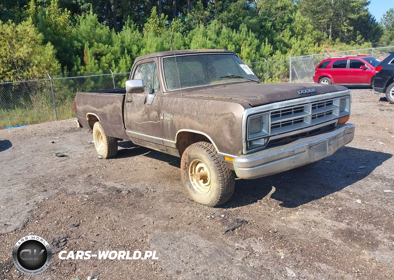 1989 Dodge W-Series W100 – zdjęcie 1 z 14