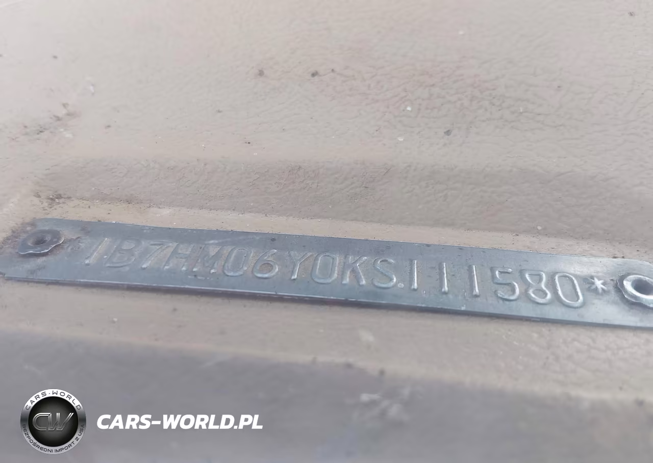 1989 Dodge W-Series W100 VIN:1B7HM06Y0KS111580 - 9