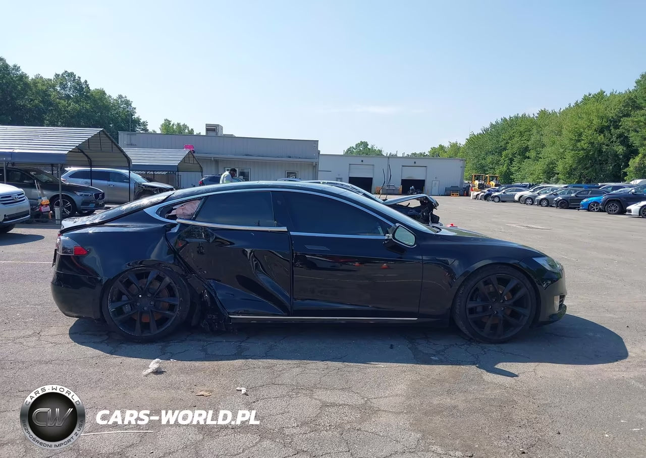 2018 Tesla Model S 100D-75D-P100D VIN:5YJSA1E24JF277825 - 12
