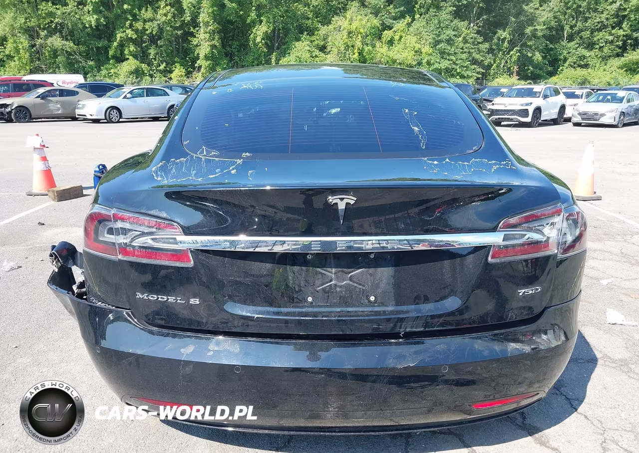 2018 Tesla Model S 100D-75D-P100D VIN:5YJSA1E24JF277825 - 15