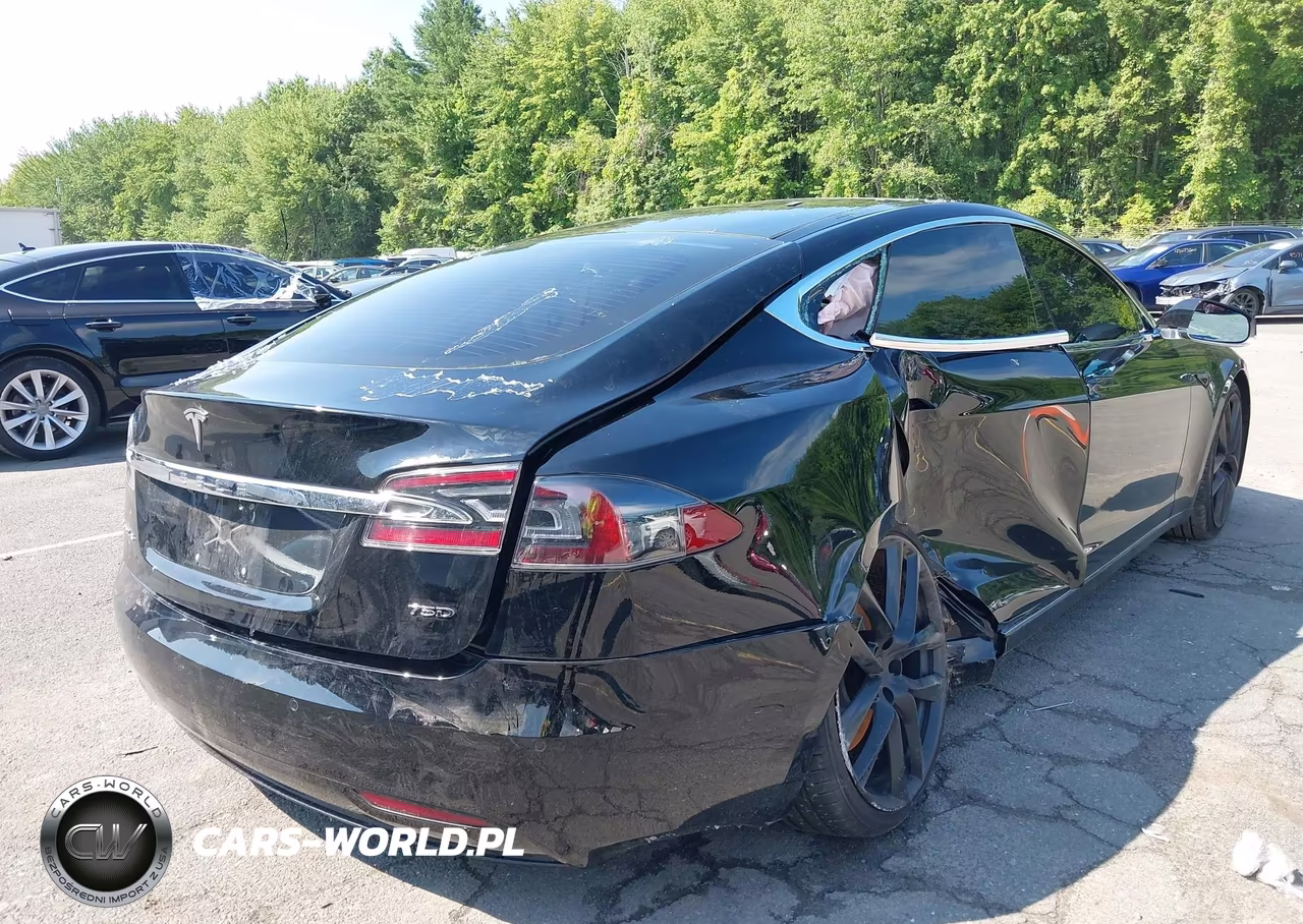 2018 Tesla Model S 100D-75D-P100D VIN:5YJSA1E24JF277825 - 4