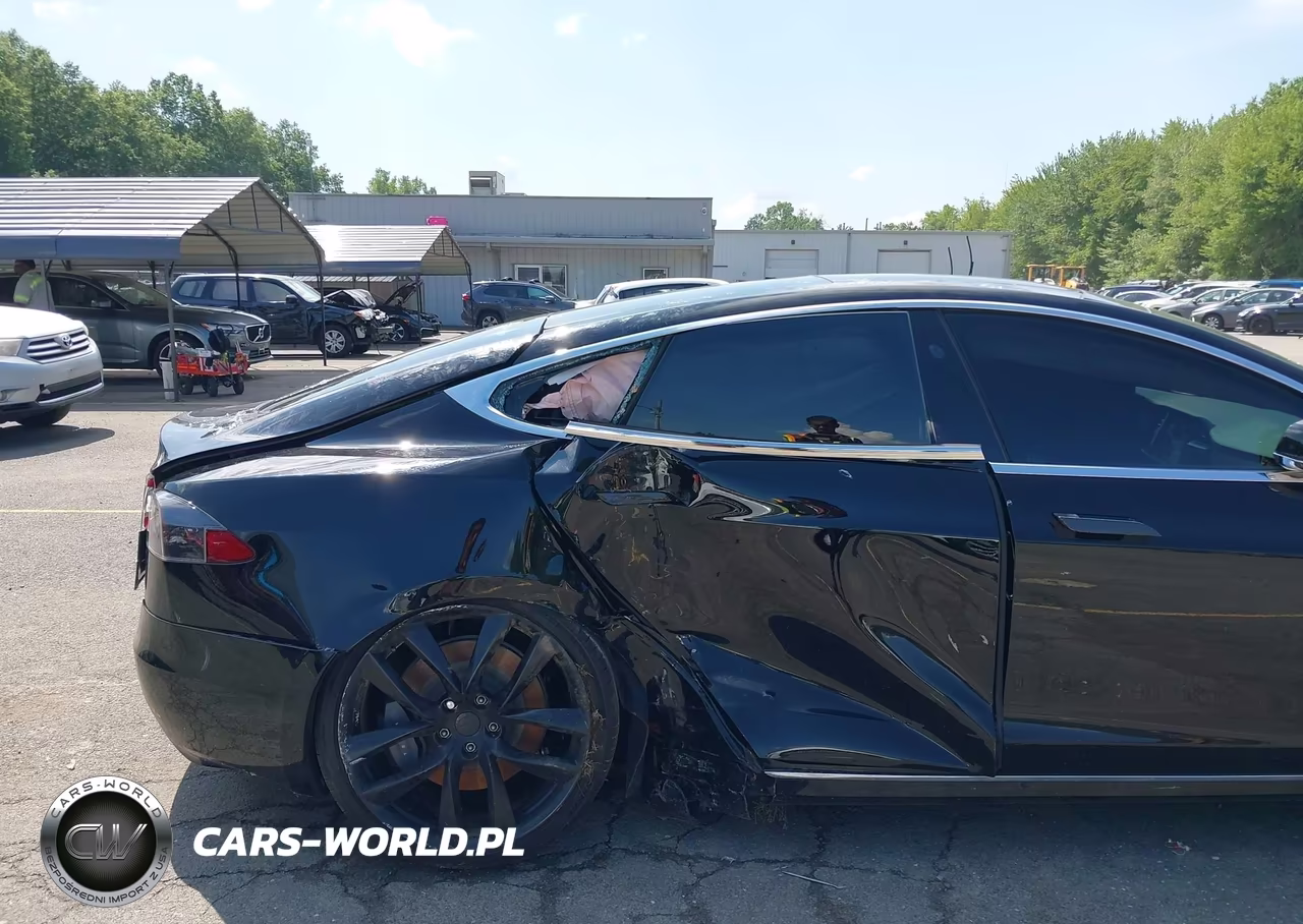 2018 Tesla Model S 100D-75D-P100D VIN:5YJSA1E24JF277825 - 6