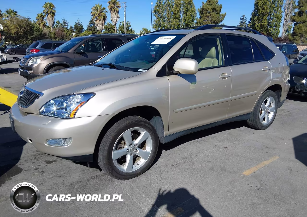 2004 Lexus Rx 330 VIN:JTJHA31U740054899 - 2