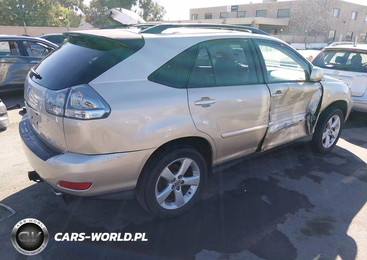 2004 Lexus Rx 330 VIN:JTJHA31U740054899 - 4