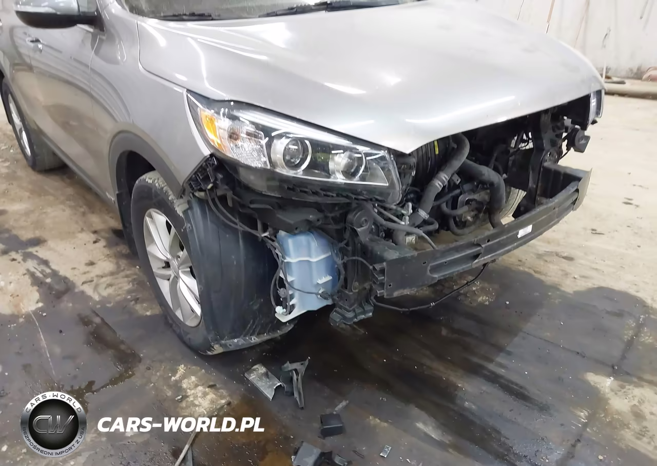 2018 Kia Sorento 2.4L Lx VIN:5XYPGDA37JG428959 - 19