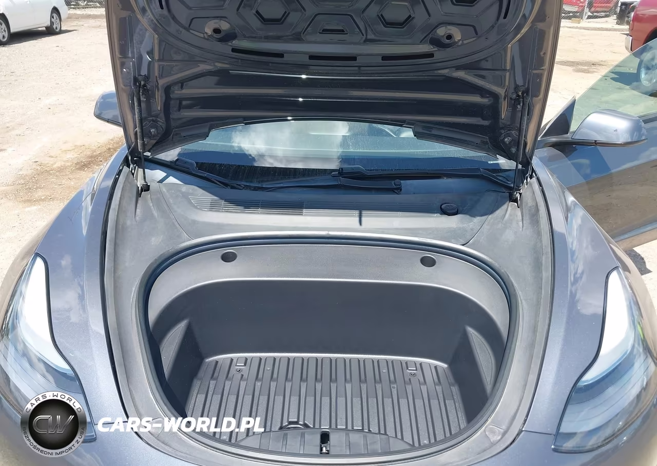 2021 Tesla Model 3 Standard Range Plus Rear-Wheel Drive VIN:5YJ3E1EA6MF994702 - 10