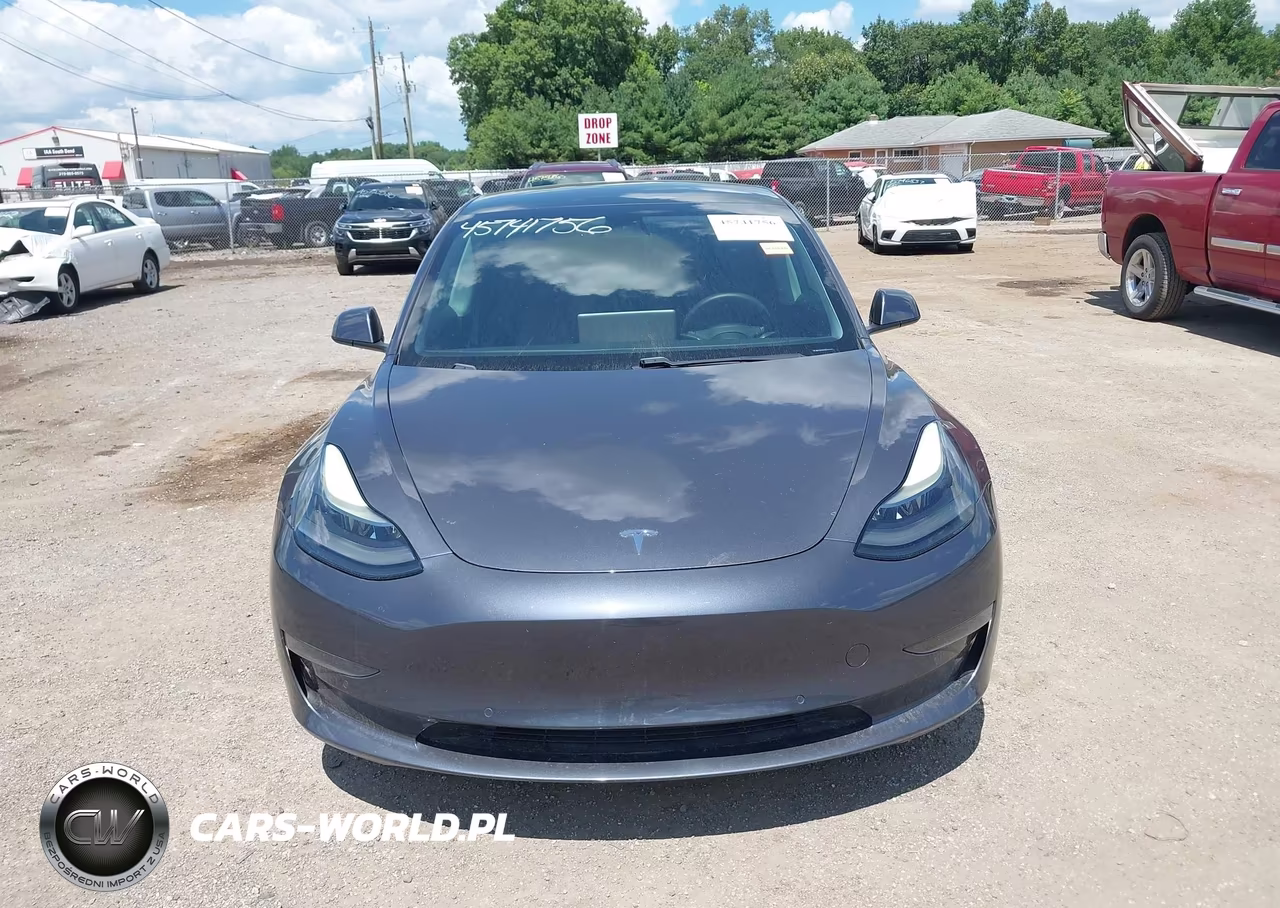 2021 Tesla Model 3 Standard Range Plus Rear-Wheel Drive VIN:5YJ3E1EA6MF994702 - 12