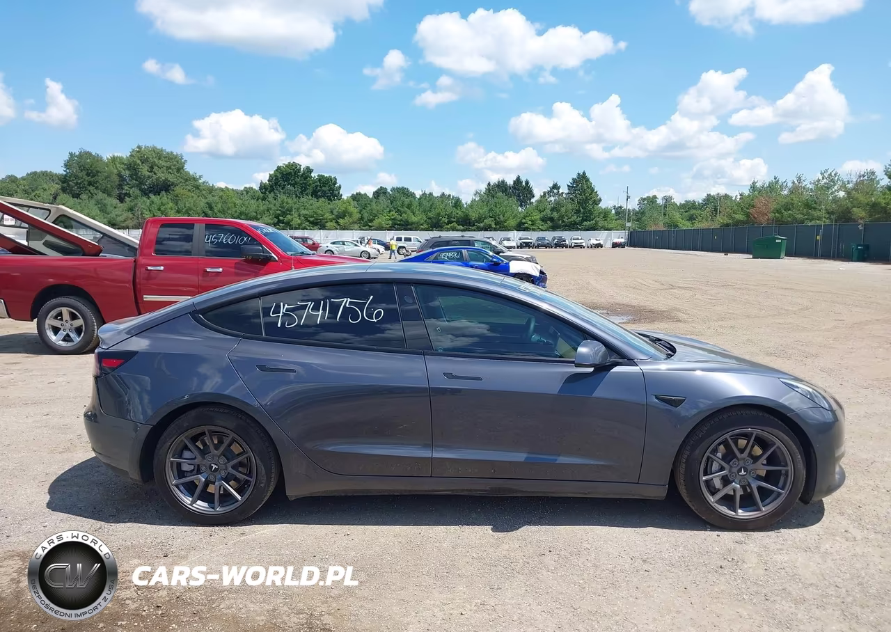 2021 Tesla Model 3 Standard Range Plus Rear-Wheel Drive VIN:5YJ3E1EA6MF994702 - 13