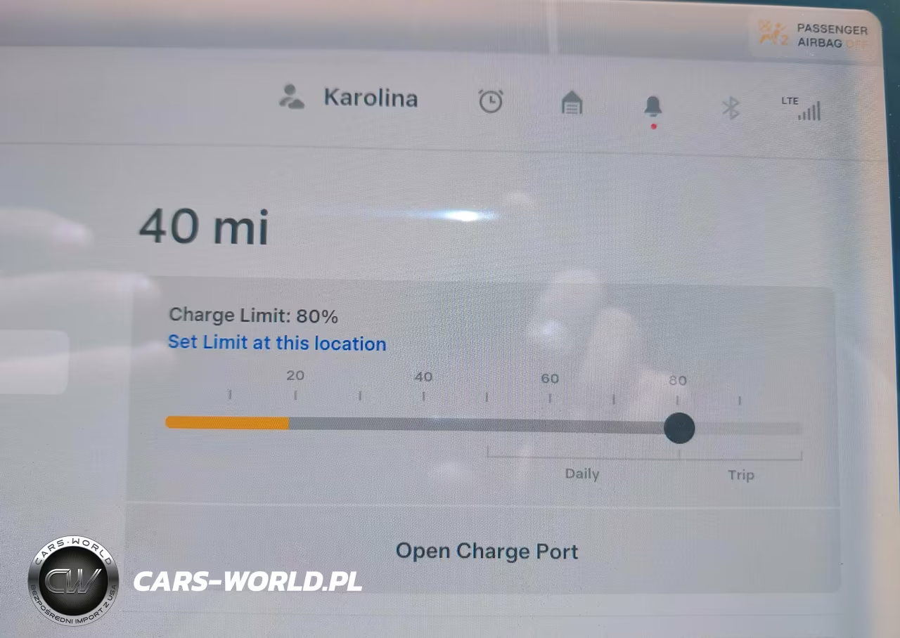 2021 Tesla Model 3 Standard Range Plus Rear-Wheel Drive VIN:5YJ3E1EA6MF994702 - 17