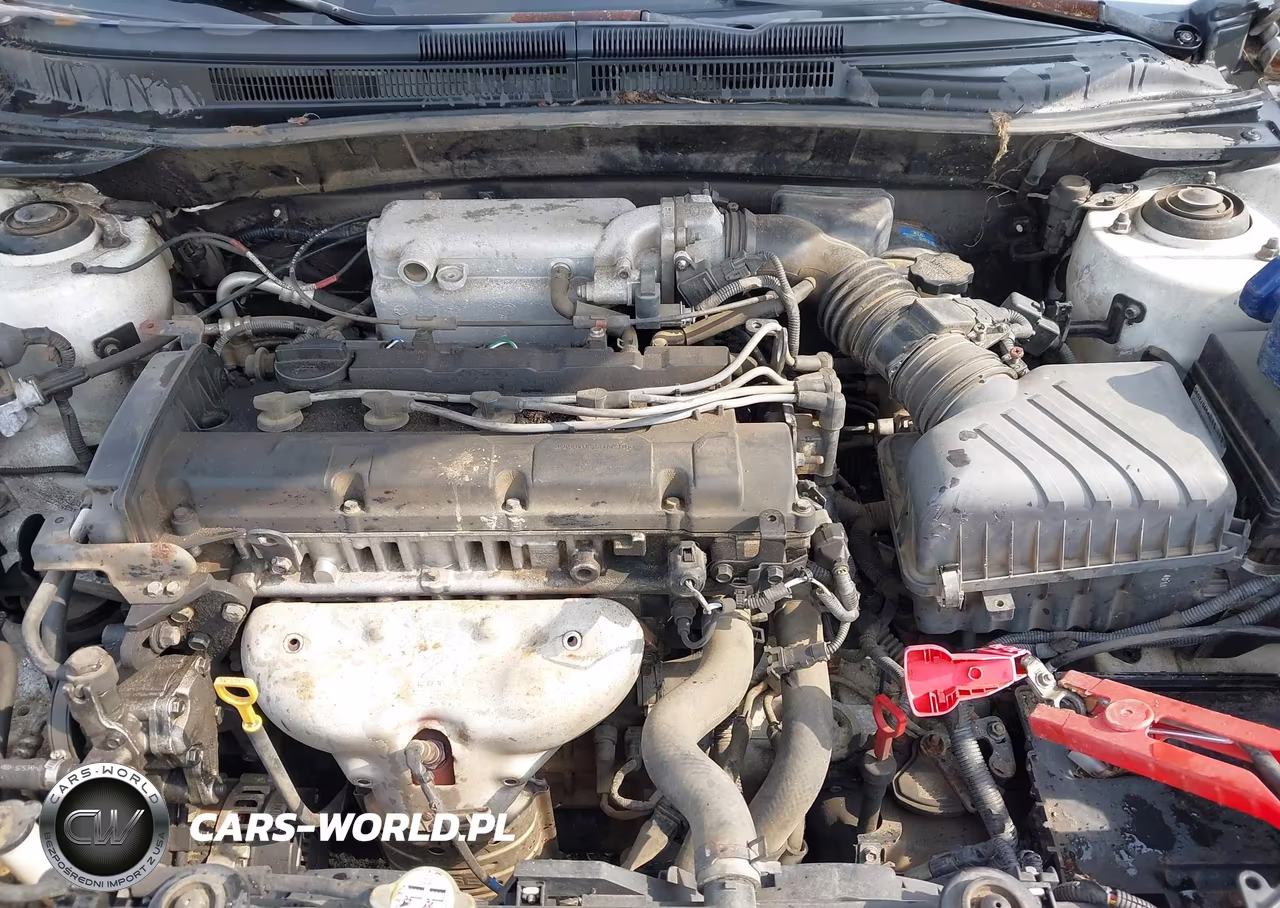 2004 Kia Spectra Ex-Lx VIN:KNAFE121245036768 - 10