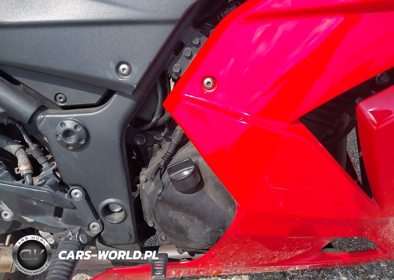 2009 Kawasaki Ex250 J VIN:JKAEXMJ1X9DA20761 - 8