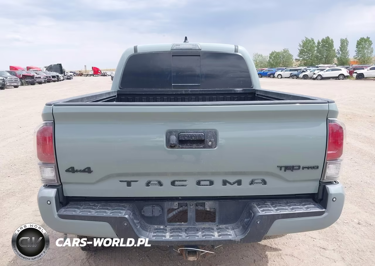 2021 Toyota Tacoma Trd Pro VIN:5TFCZ5AN5MX268095 - 17