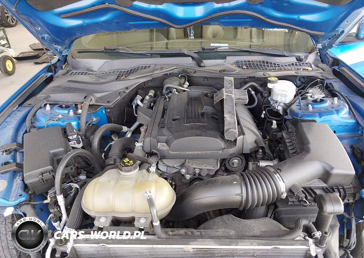 2019 Ford Mustang Ecoboost VIN:1FA6P8TH8K5184900 - 10