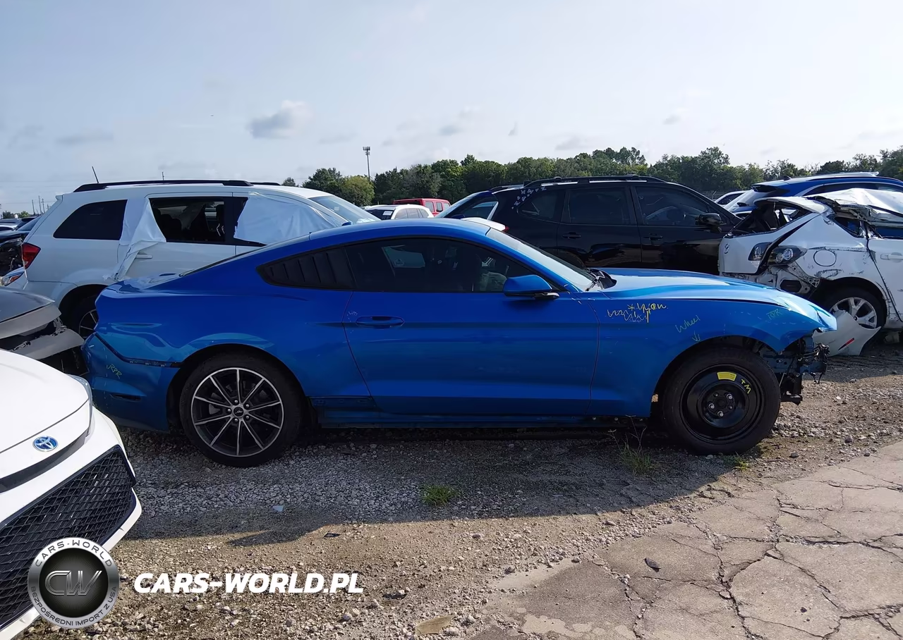 2019 Ford Mustang Ecoboost VIN:1FA6P8TH8K5184900 - 14