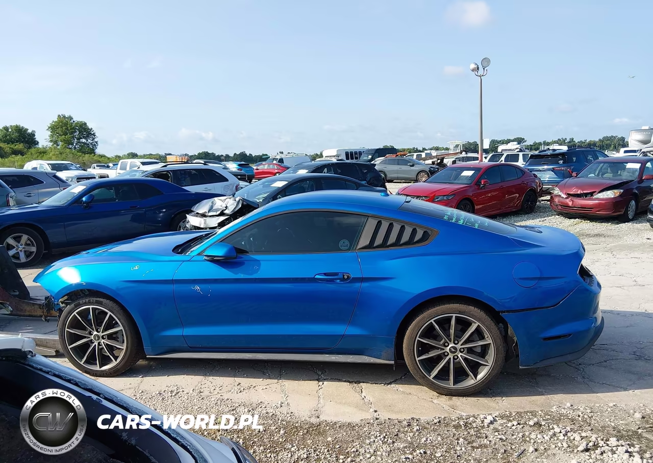 2019 Ford Mustang Ecoboost VIN:1FA6P8TH8K5184900 - 15