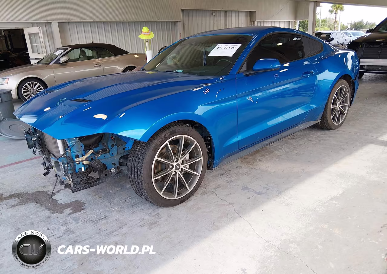 2019 Ford Mustang Ecoboost VIN:1FA6P8TH8K5184900 - 2