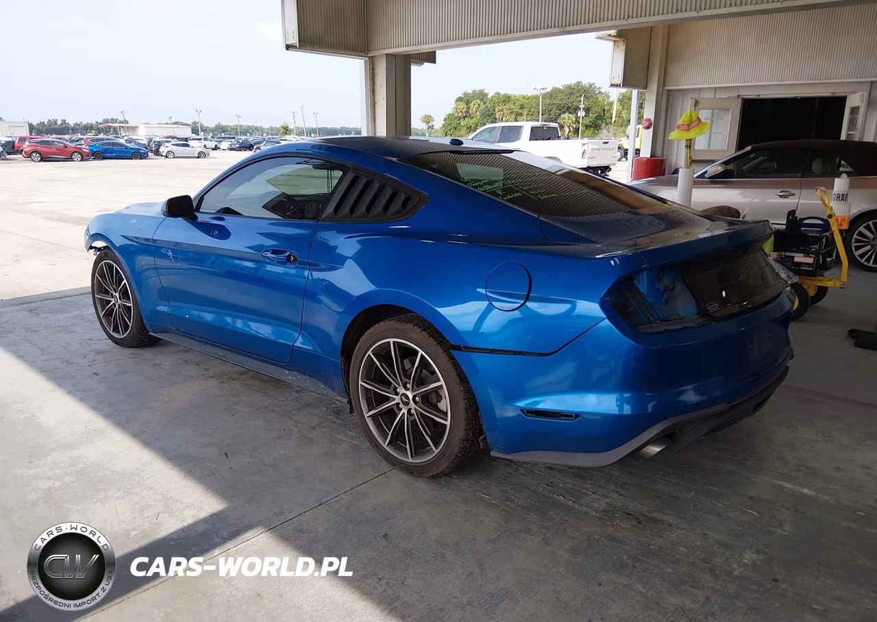 2019 Ford Mustang Ecoboost VIN:1FA6P8TH8K5184900 - 3