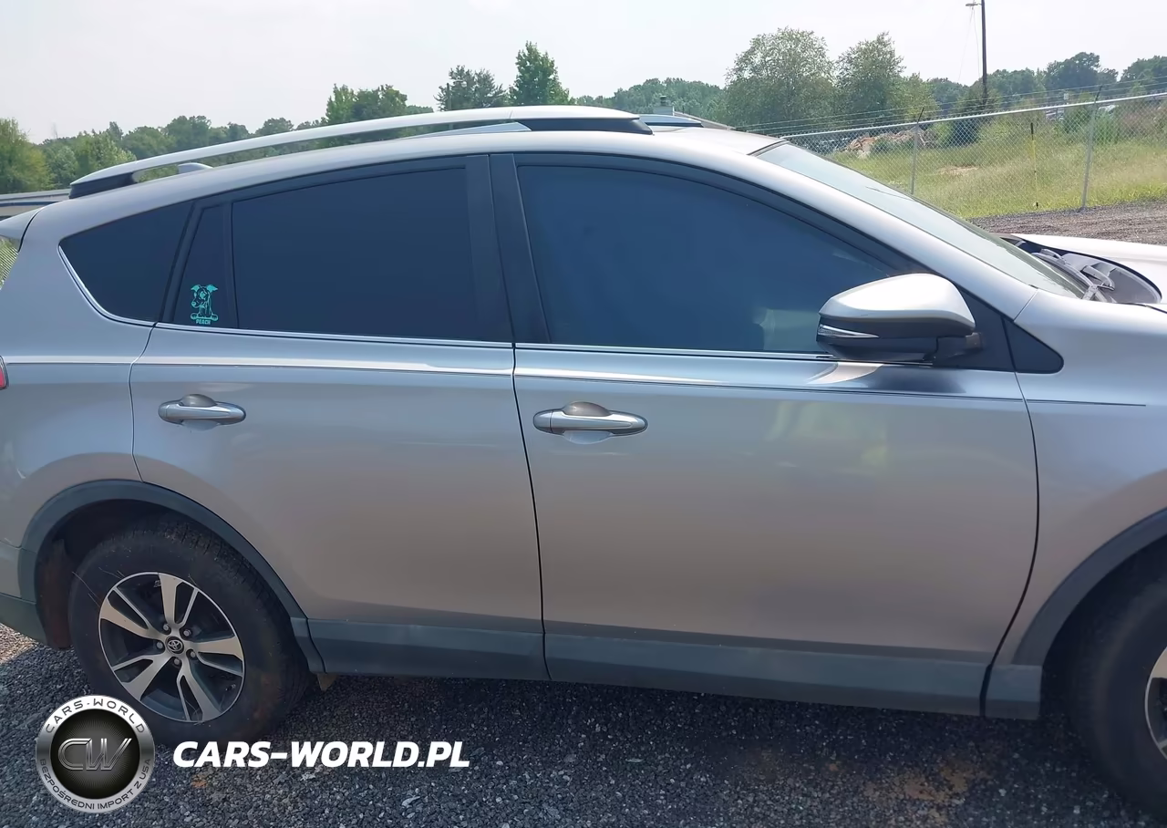 2016 Toyota Rav4 Xle VIN:2T3WFREV5GW297290 - 13