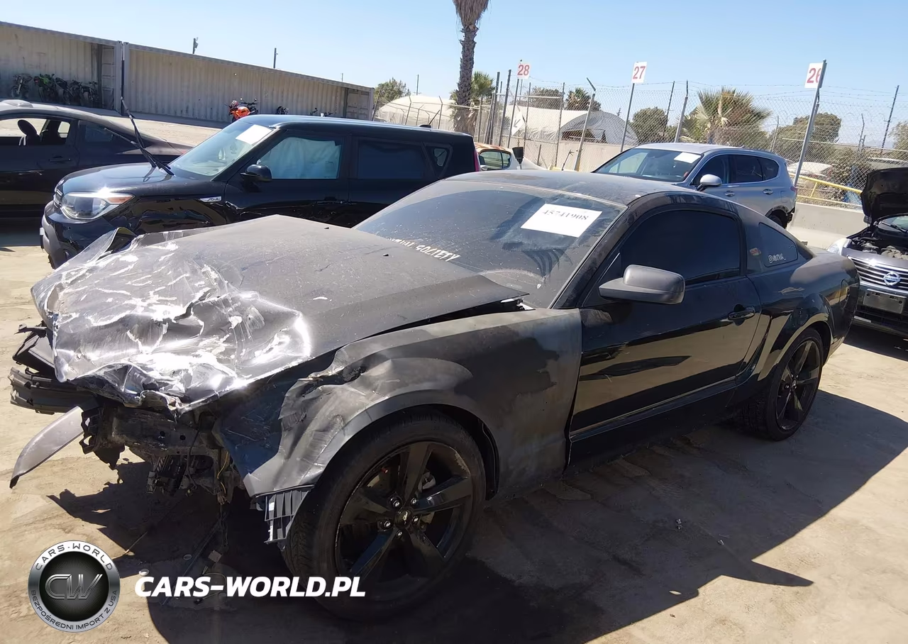 2008 Ford Mustang V6 Deluxe-V6 Premium VIN:1ZVHT80N185114945 - 2