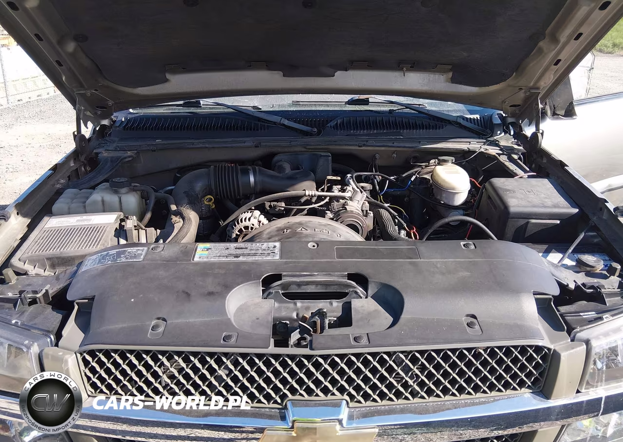 2003 Chevrolet Silverado 1500 Work Truck VIN:1GCEC14XX3Z208719 - 10