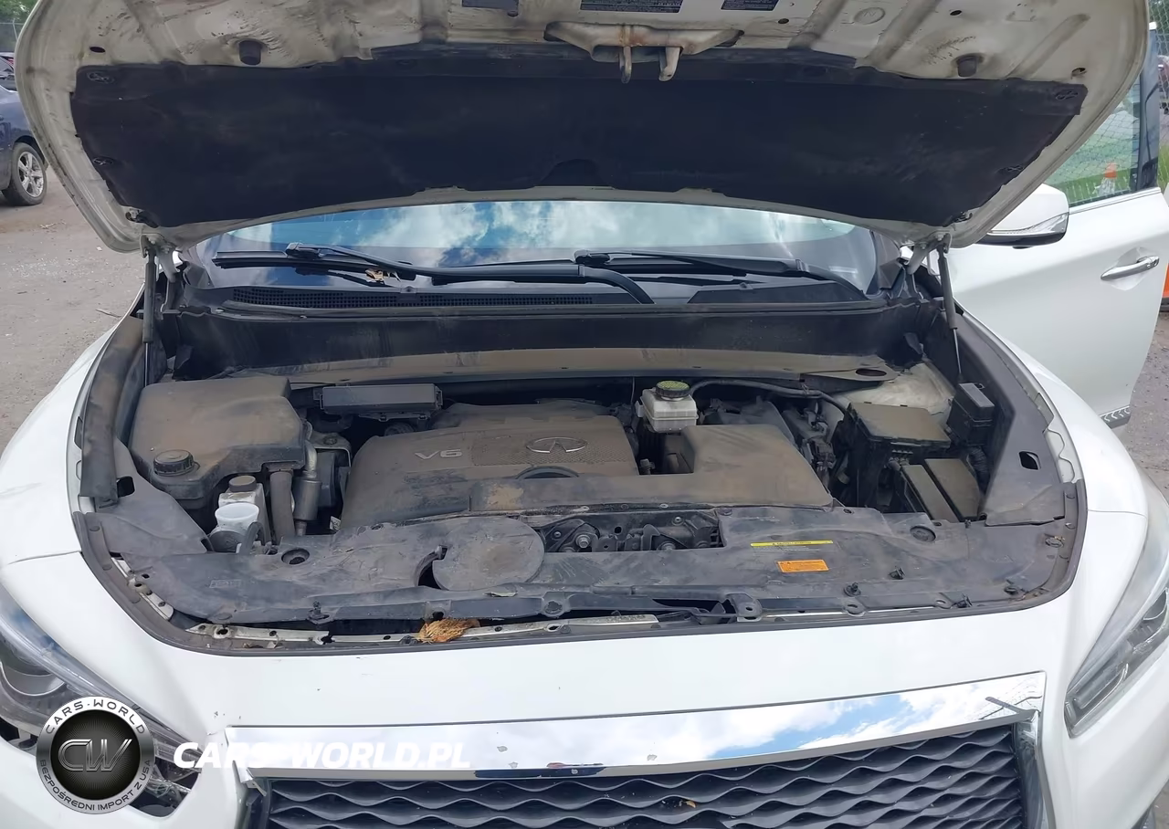 2017 Infiniti Qx60 VIN:5N1DL0MM7HC505318 - 10