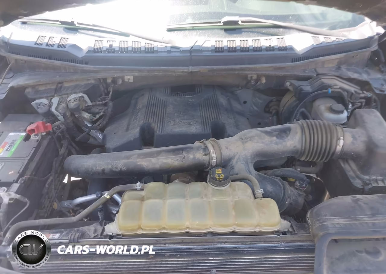 2020 Ford F-150 Xlt VIN:1FTEW1E48LFC23586 - 10