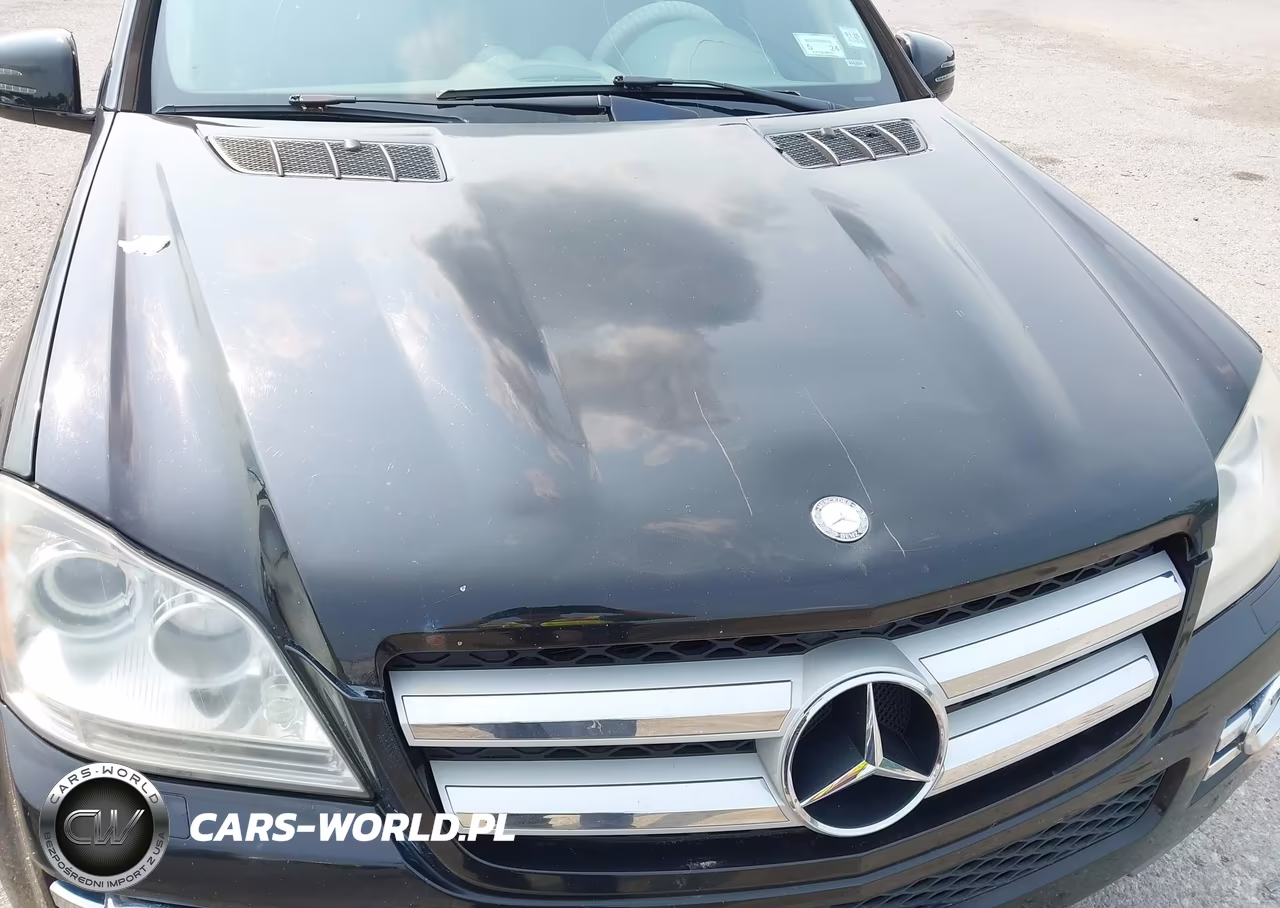2009 Mercedes-Benz Gl 450 4Matic VIN:4JGBF71E59A479108 - 6