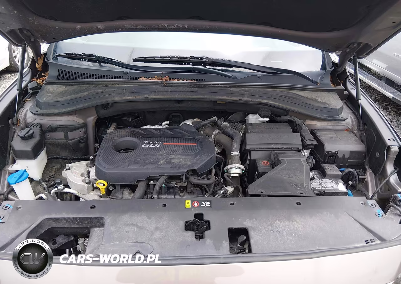 2020 Hyundai Santa Fe Limited 2.0T VIN:5NMS5CAA3LH267267 - 10