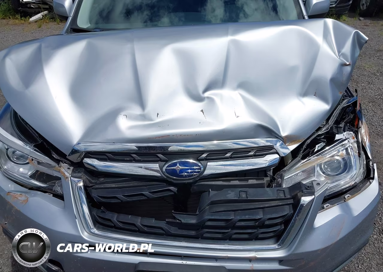 2018 Subaru Forester 2.5I Limited VIN:JF2SJARC9JH455894 - 18