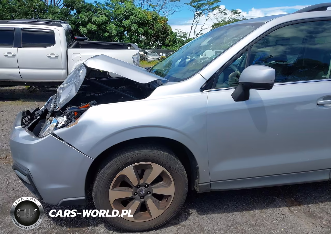 2018 Subaru Forester 2.5I Limited VIN:JF2SJARC9JH455894 - 19