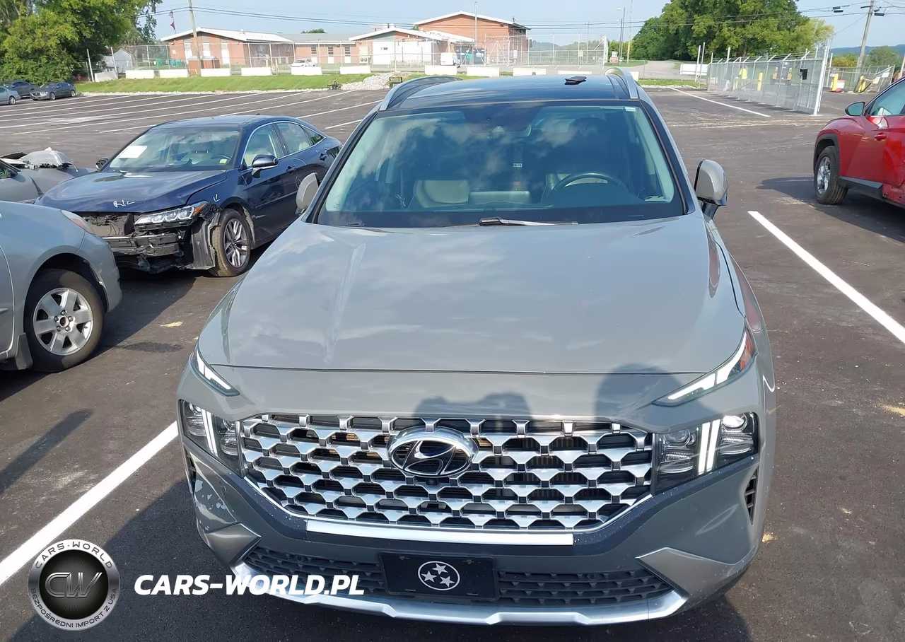 2021 Hyundai Santa Fe Limited VIN:5NMS44AL9MH324714 - 12