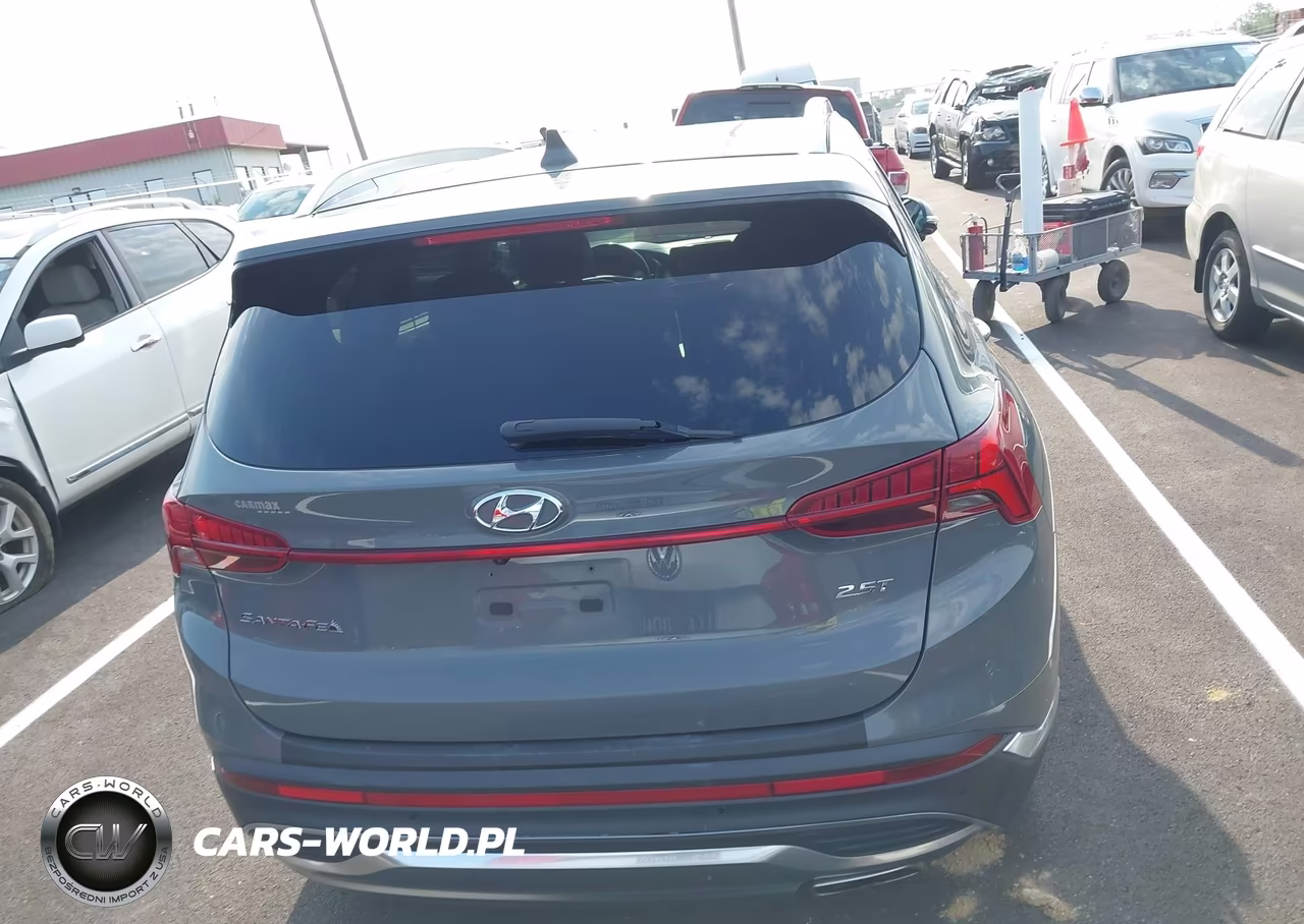2021 Hyundai Santa Fe Limited VIN:5NMS44AL9MH324714 - 16