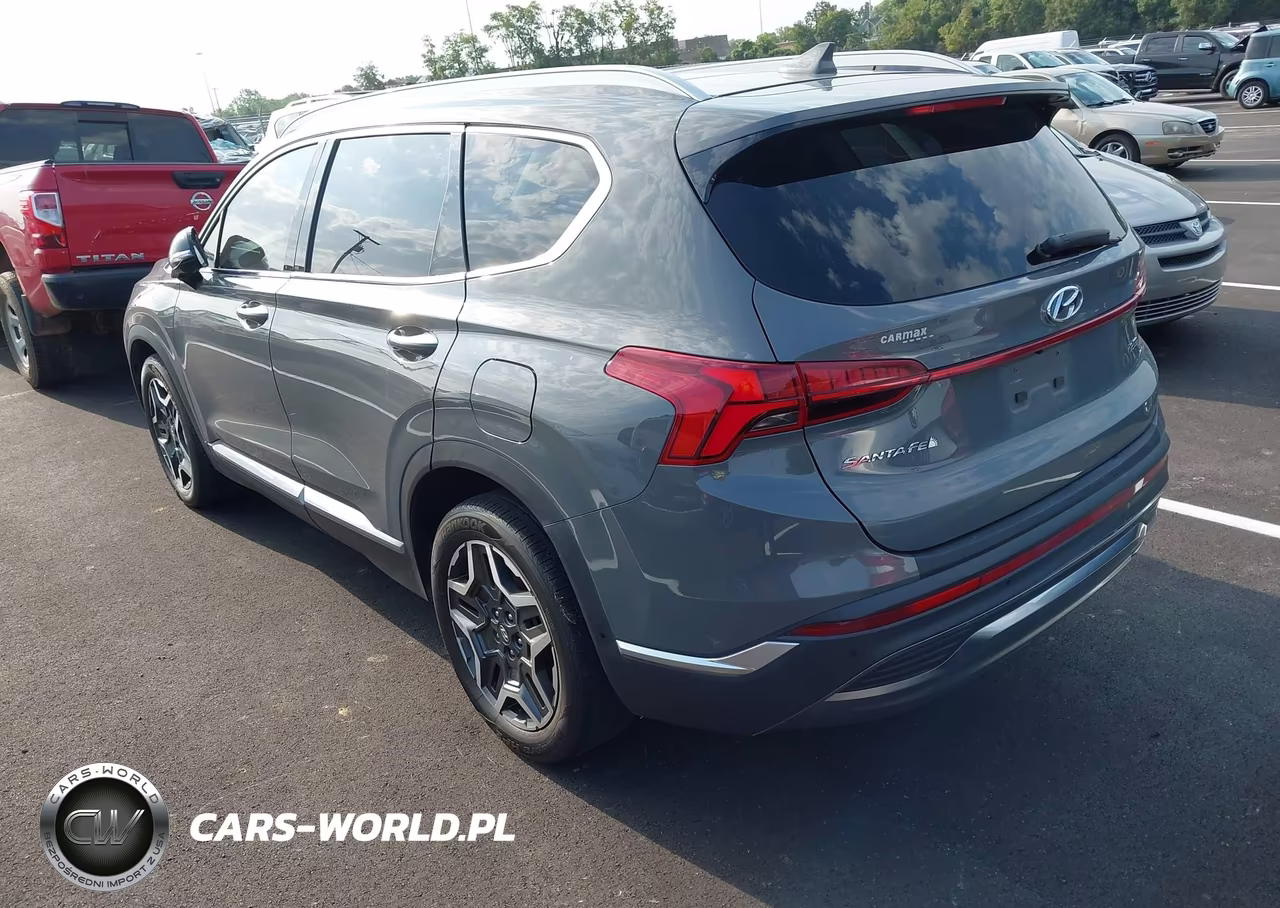 2021 Hyundai Santa Fe Limited VIN:5NMS44AL9MH324714 - 3