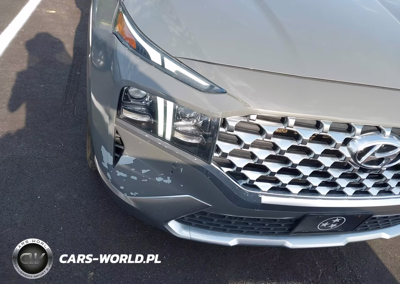 2021 Hyundai Santa Fe Limited VIN:5NMS44AL9MH324714 - 6