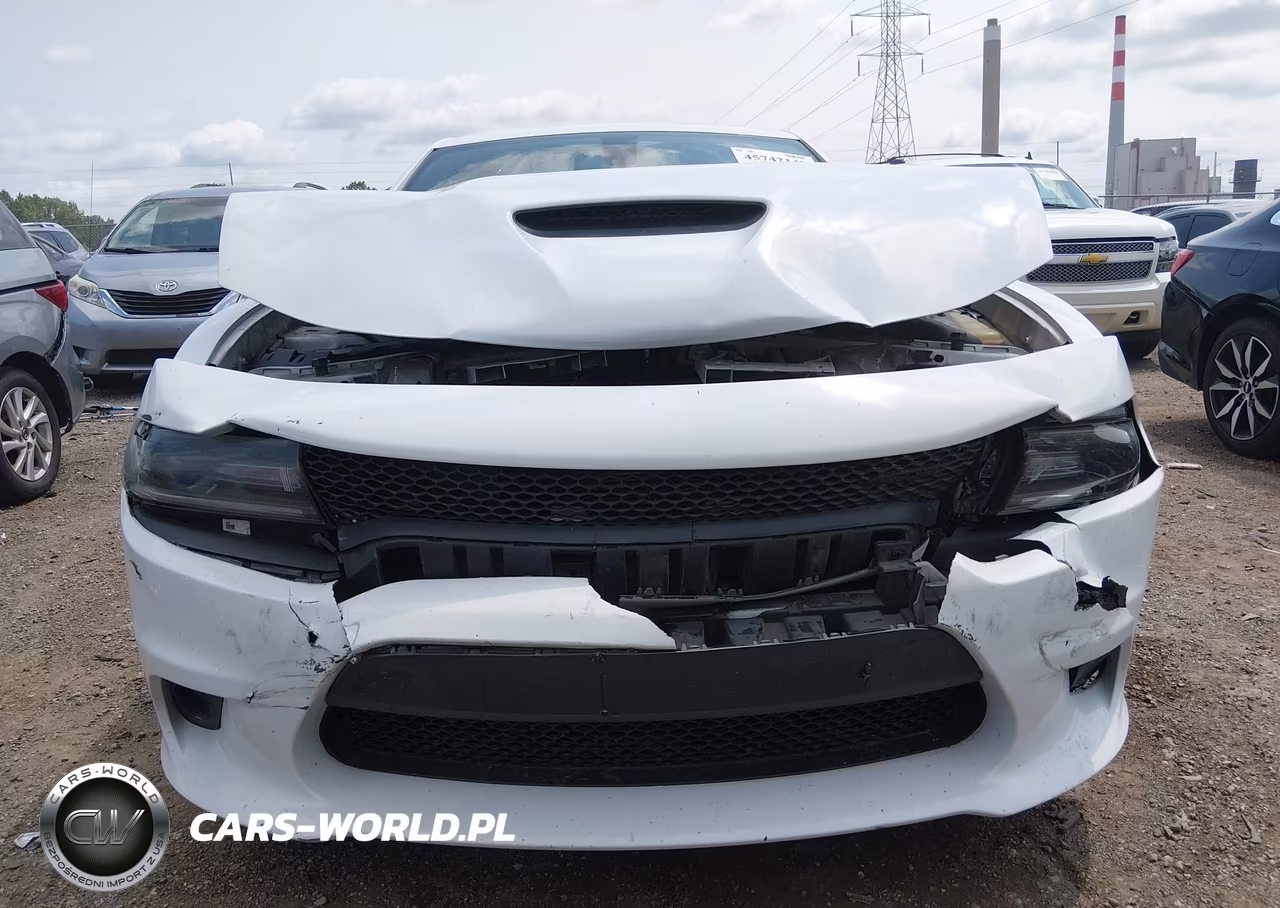 2015 Dodge Charger Police VIN:2C3CDXAT7FH772345 - 12